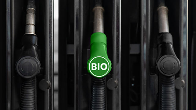 thumb biofuel