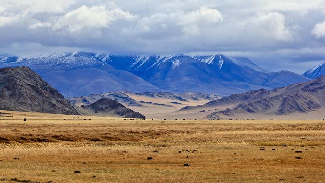 Inner-Mongolia