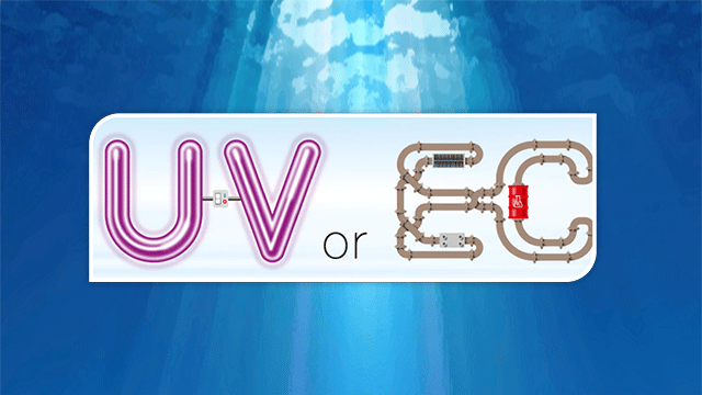 UV-or-EC.gif