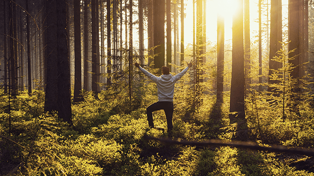 man standing in a forest with arms open during dawn 640x360