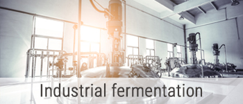 Industrial fermentation v2