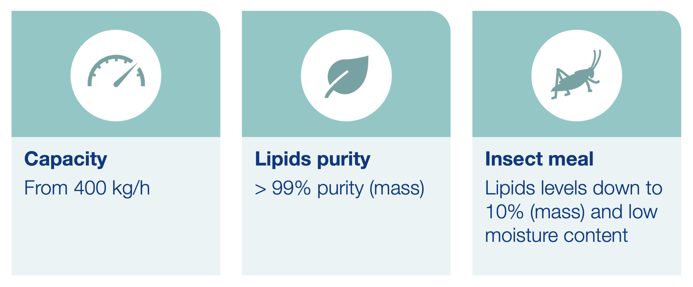 Insect-based-protein processing | Alfa Laval