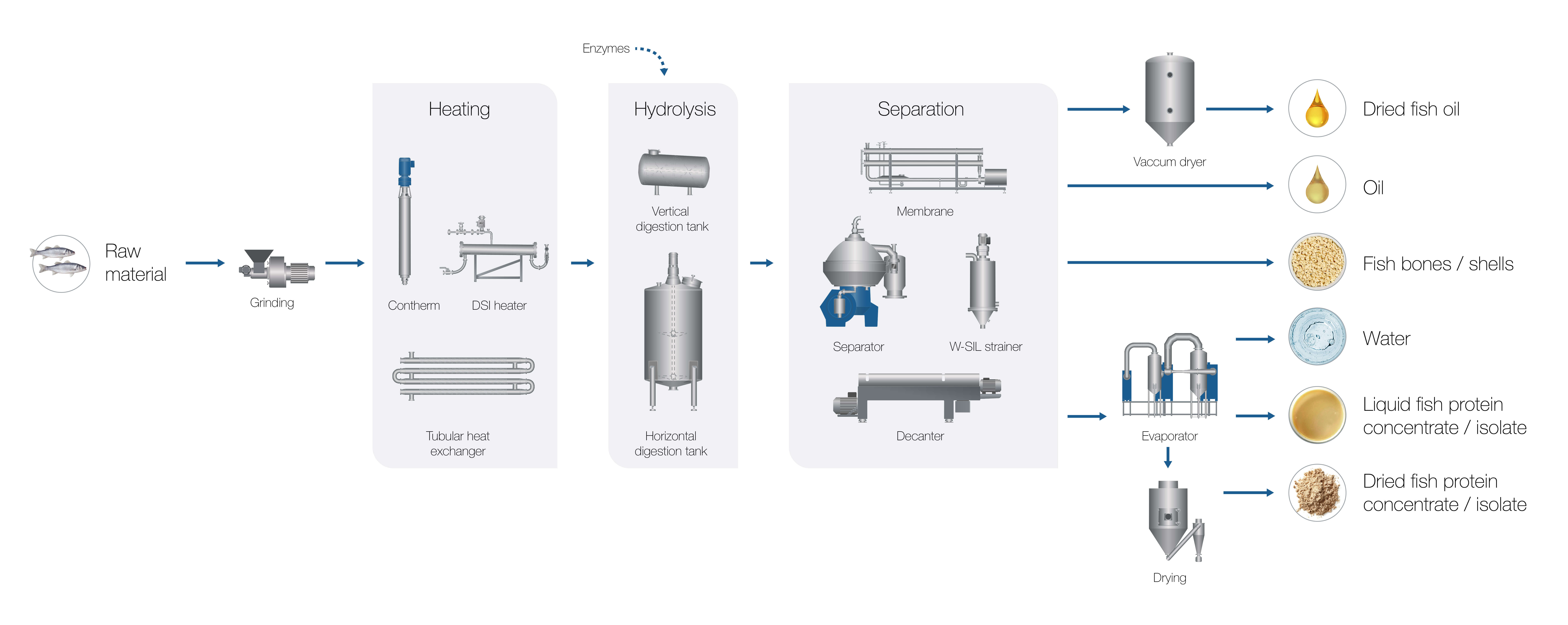 Flowchart Fish hydrolysates processing