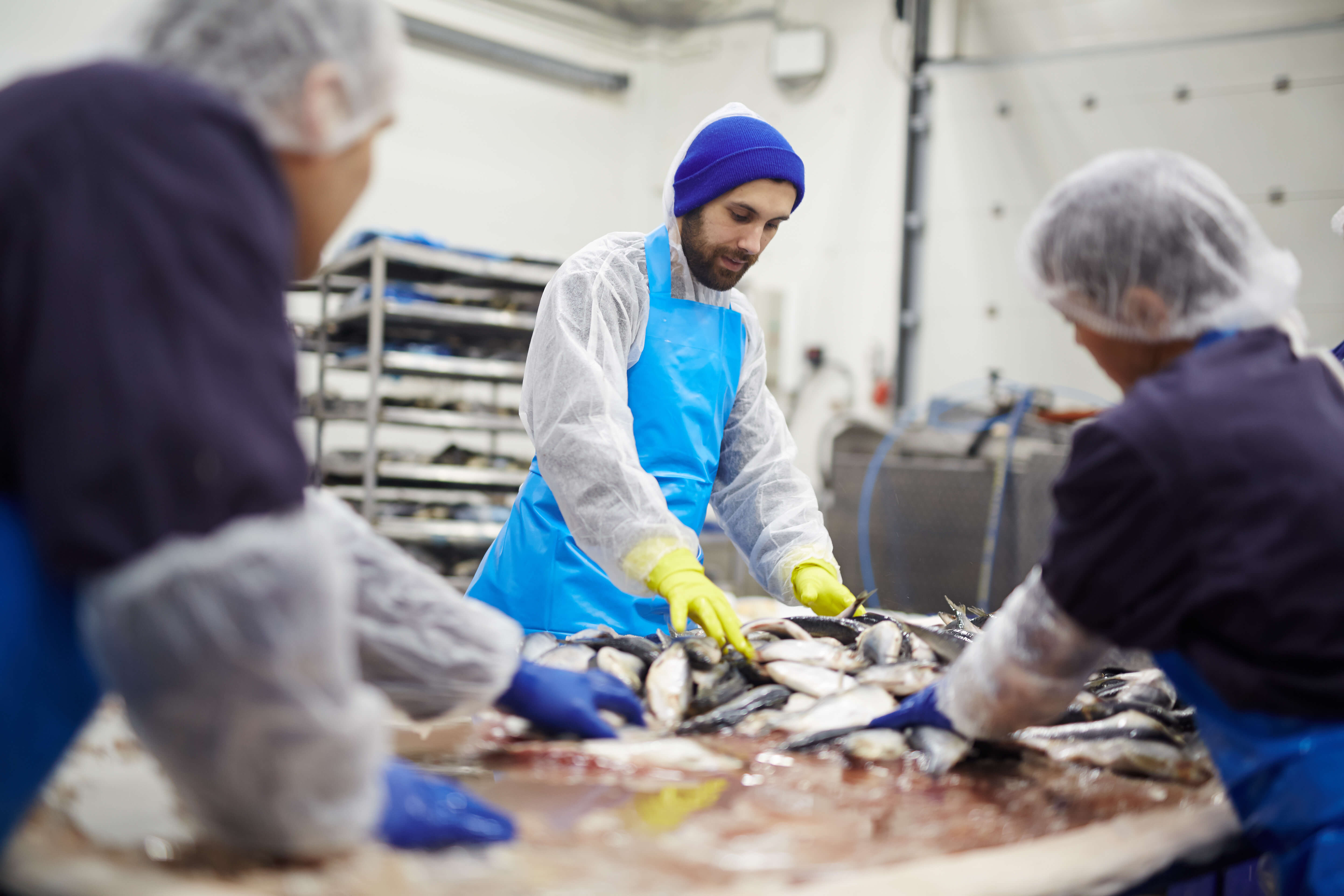 man working fish processing