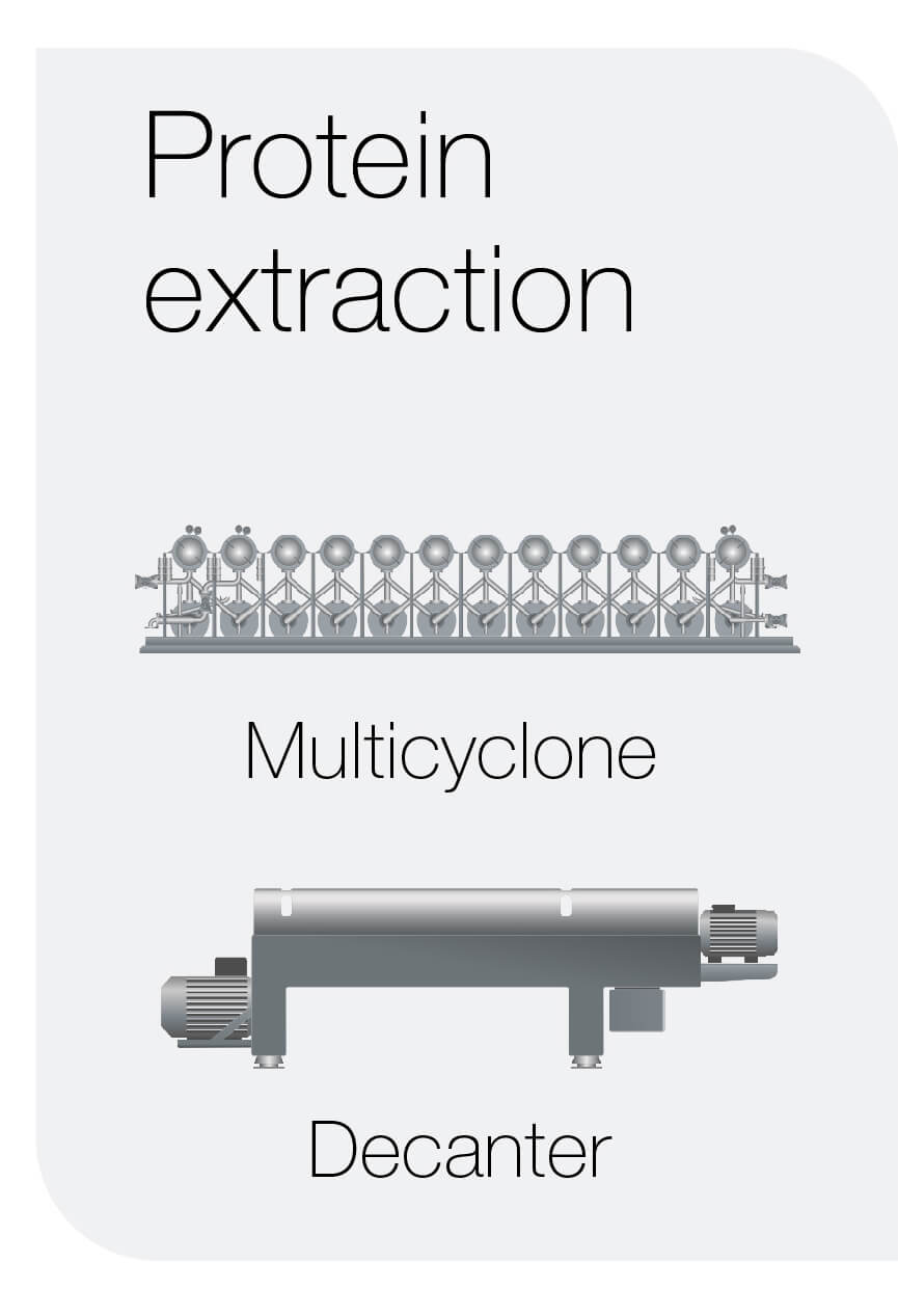 4 Protein extraction plant based