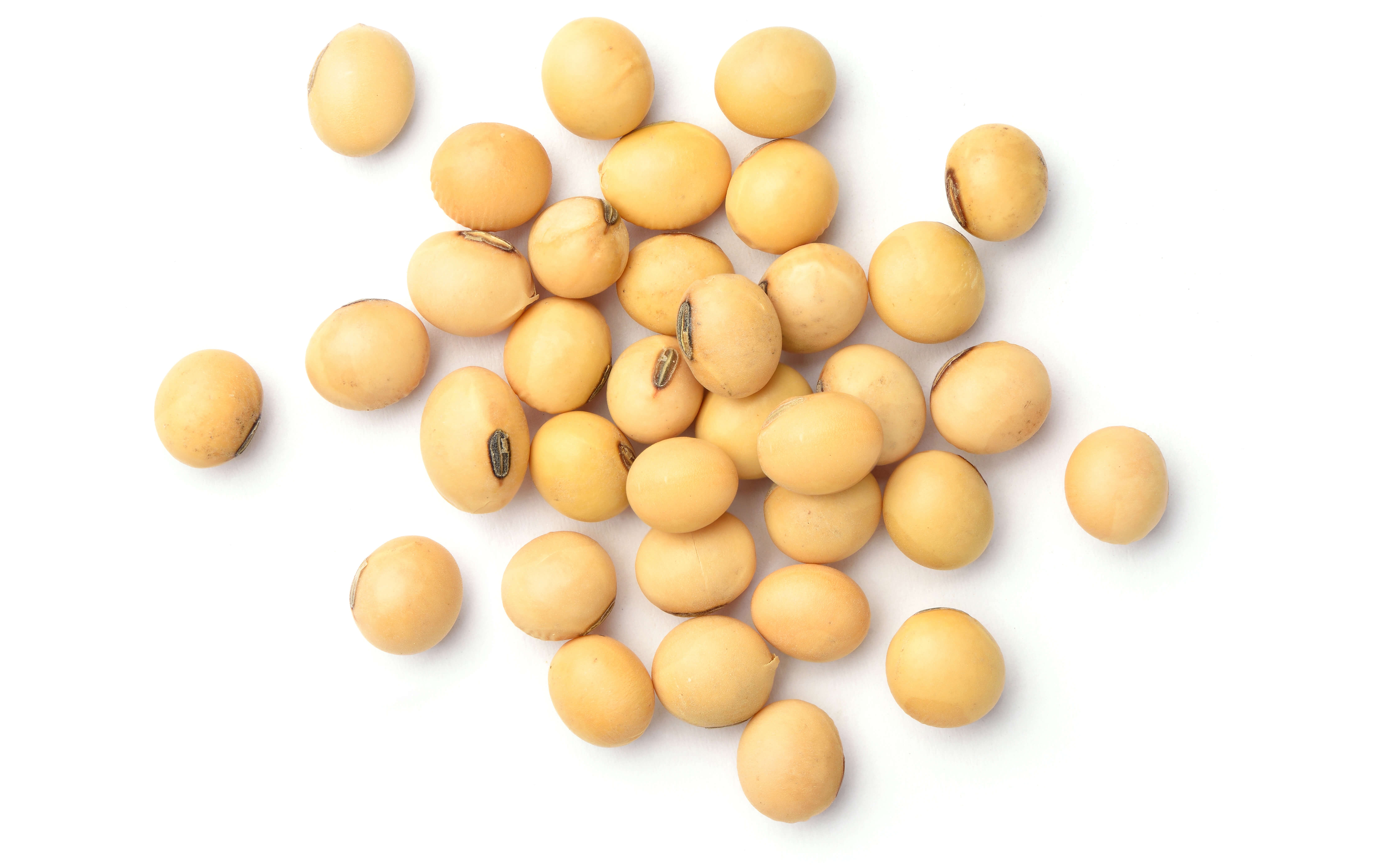 soybean plantbased c