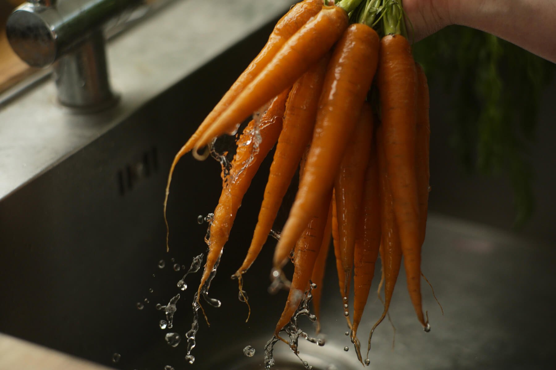 Carrots are washed under running water 1