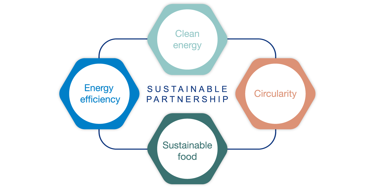 áreas de foco de la sostenibilidad