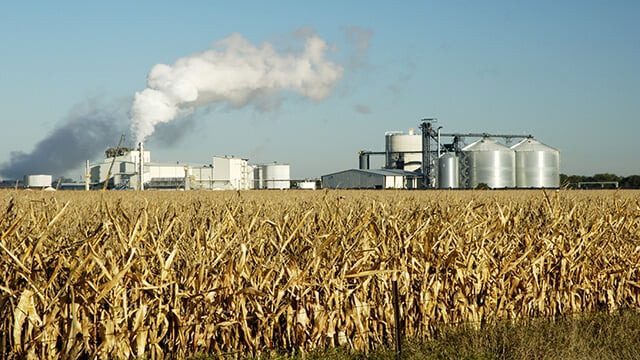 cornfield ethanol plant smaller