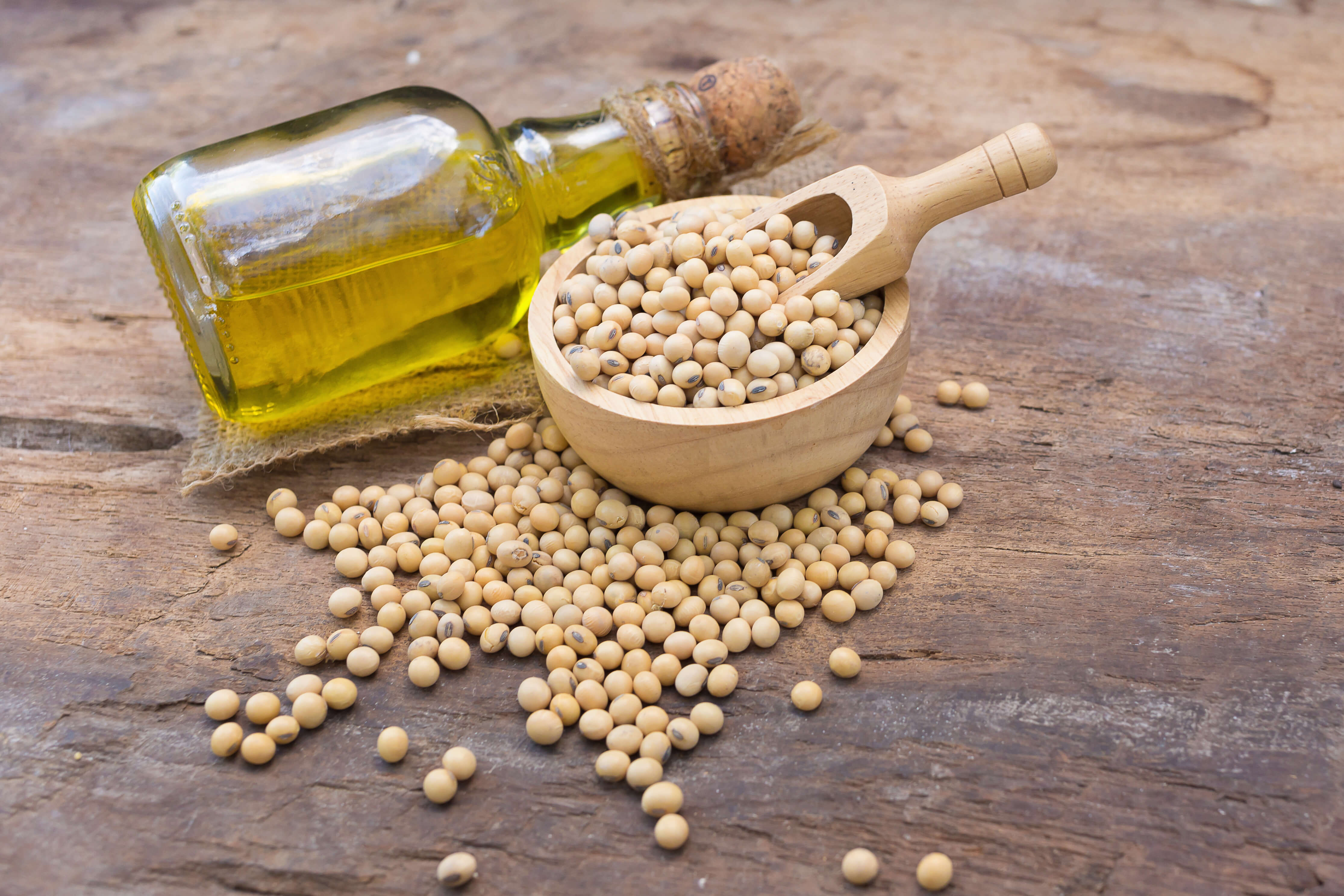 Soybean seed and soybean oil bottle