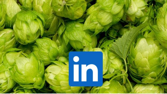 Beer production LinkedIn image