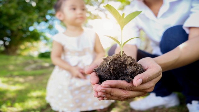 sustainable plant child 640x360