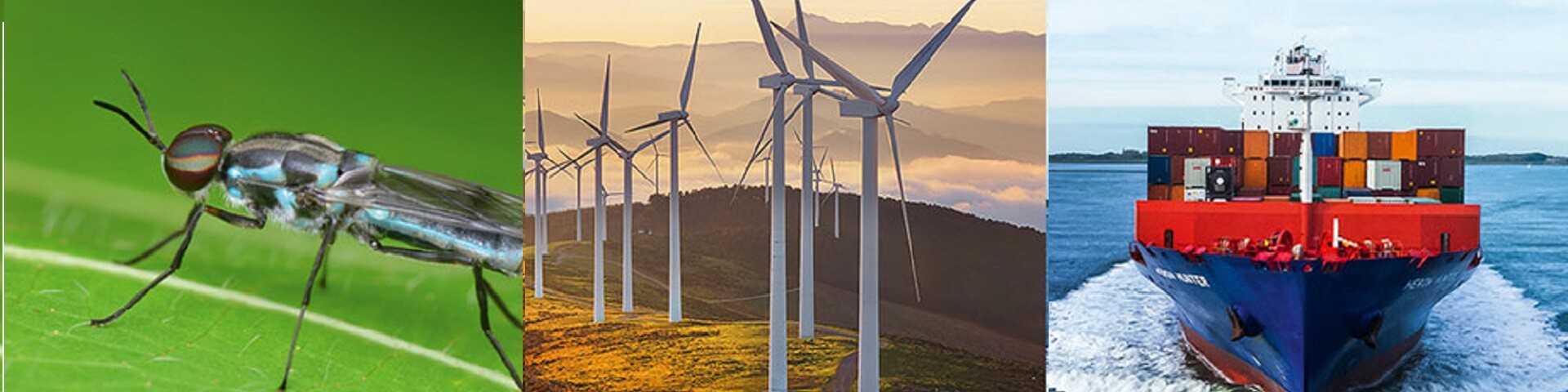 sustainability banner 2019 1920X480