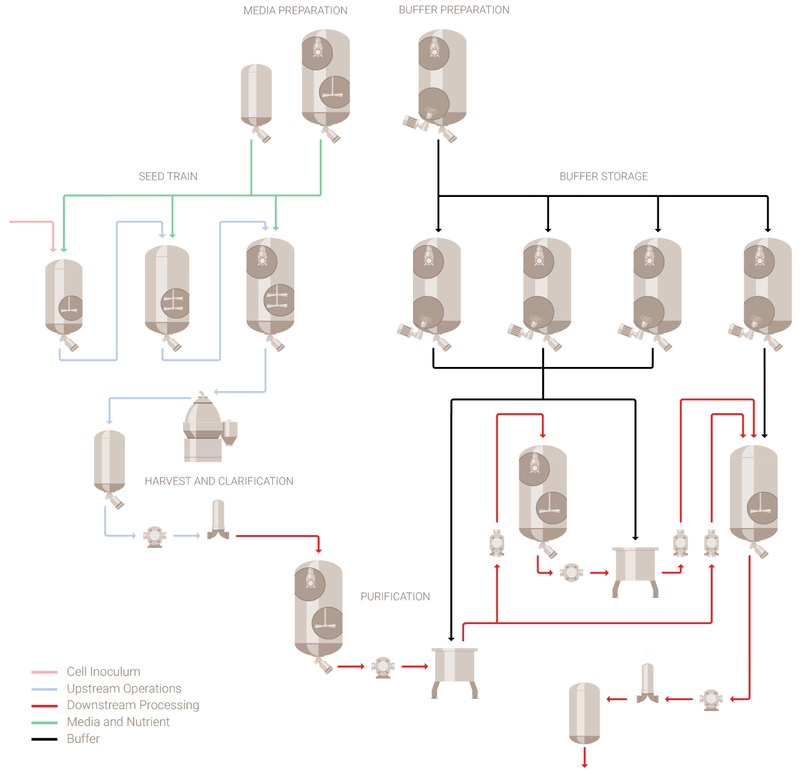 Biotech process chart