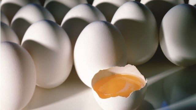 Eggs yolk 640X360