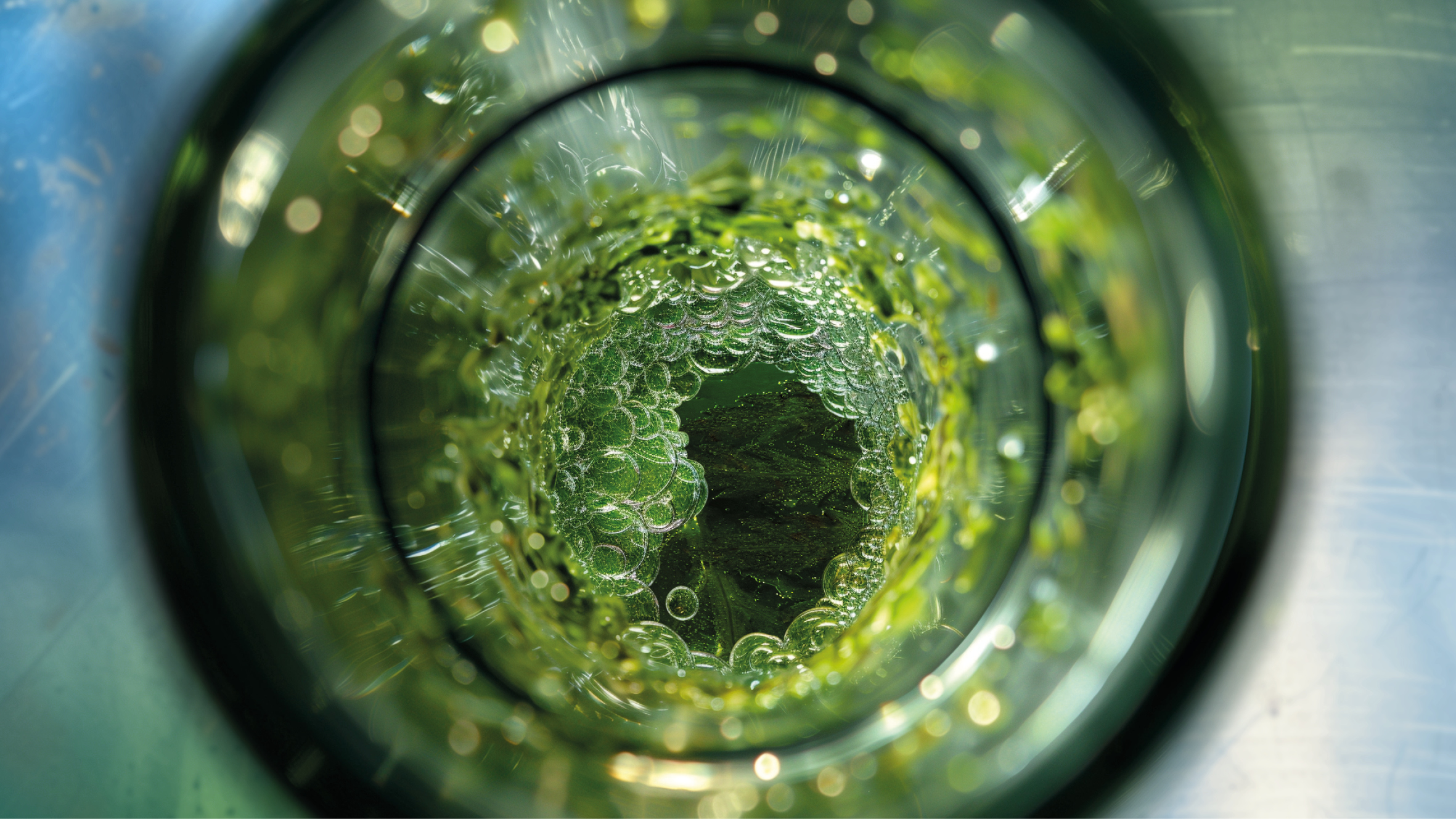 Concept Renew Chem round v3 poly image