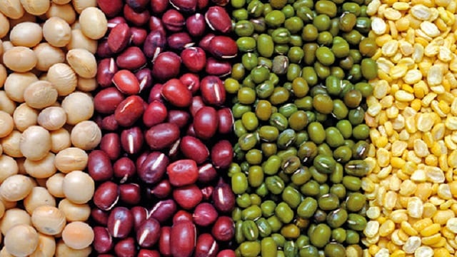 Different types of beans