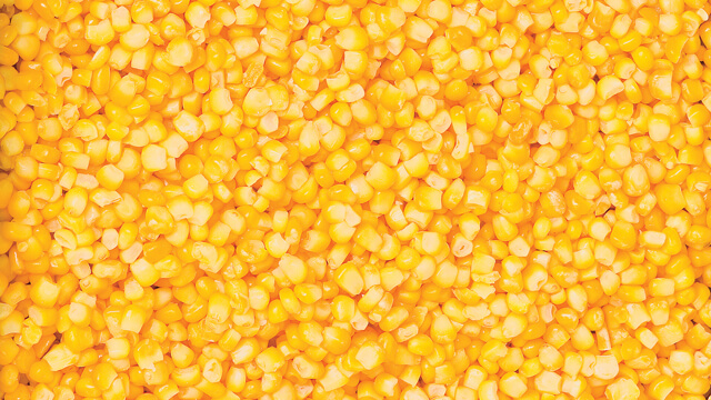 Corn based processing 640x360
