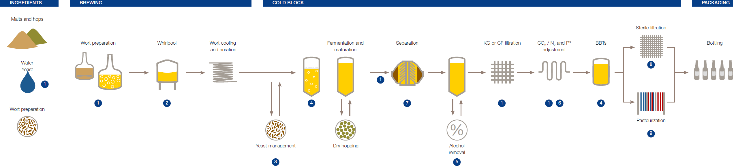 craft beer production process chart