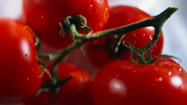 Tomato 640x360