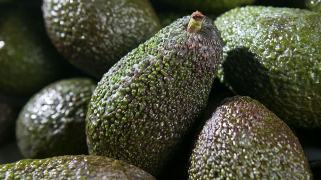 Advocado 640x360