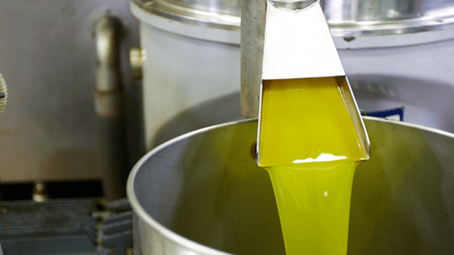 Bright yellow green olive oil flowing from a spout into a stainless steel container at a processing facility