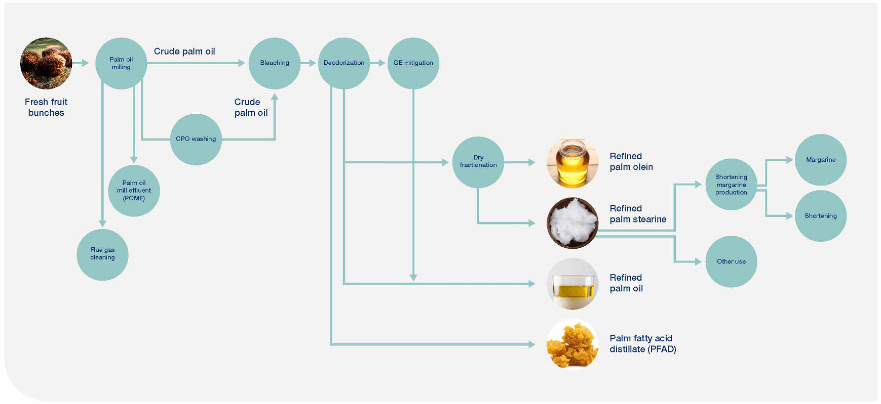 Palm Oil Refining 290621