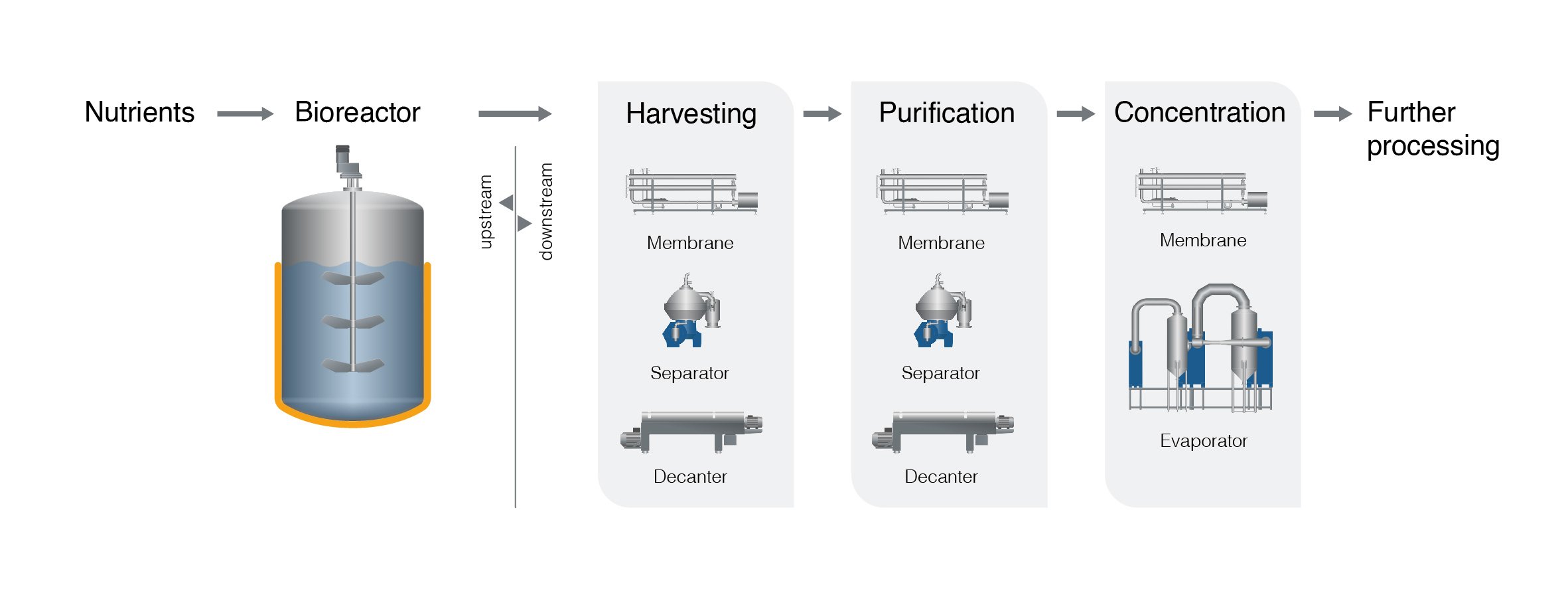 Cell grown processing flowchart