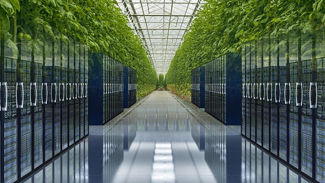 Datacenter greenhouse 640x360