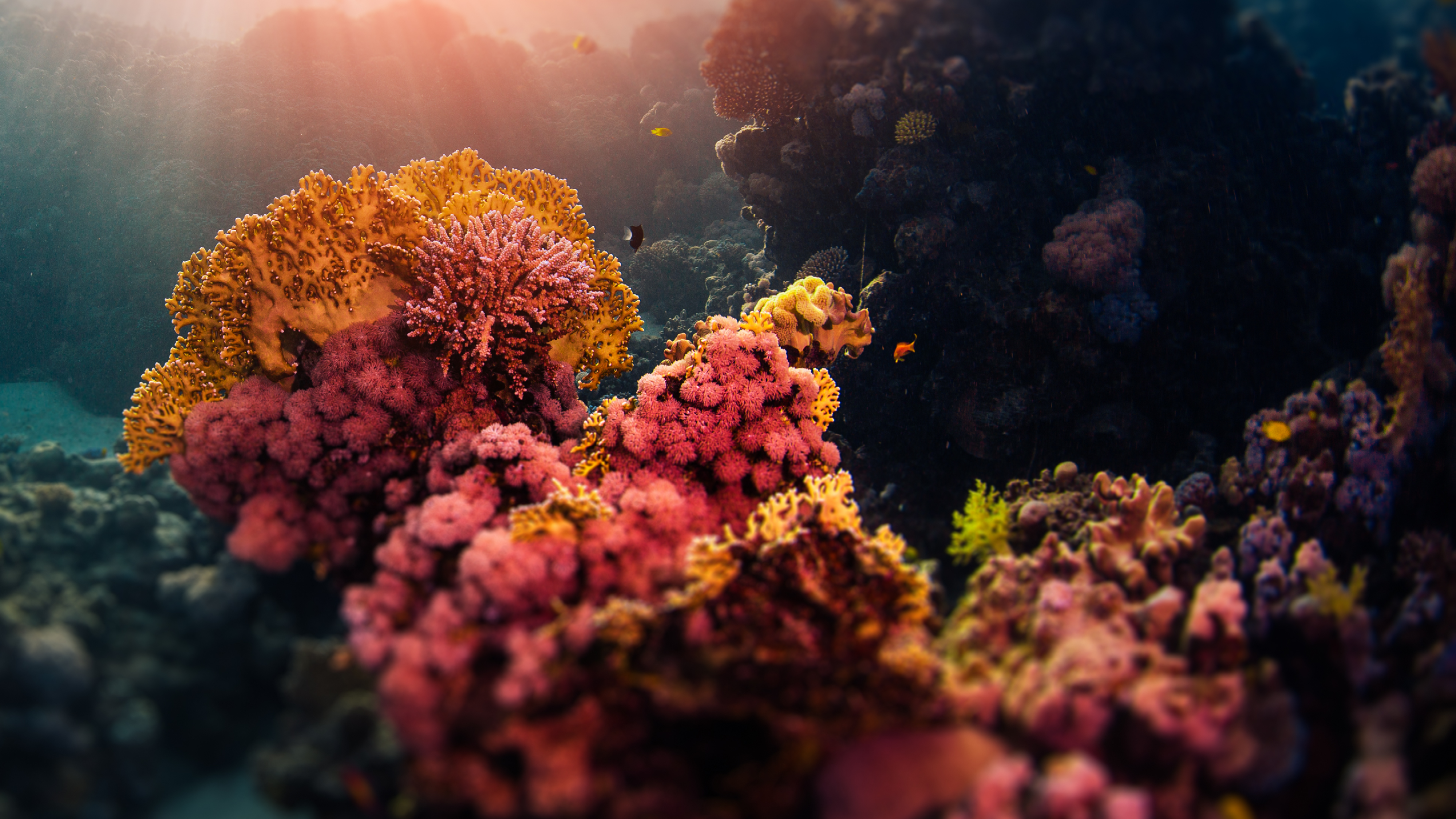 Ballast Compliance Reef 640x360