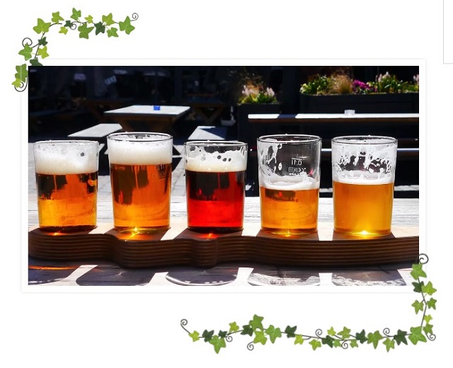 精酿啤酒的魔法师-阿法拉伐邀您体验魔都cbce国际精酿啤酒展 | alfa