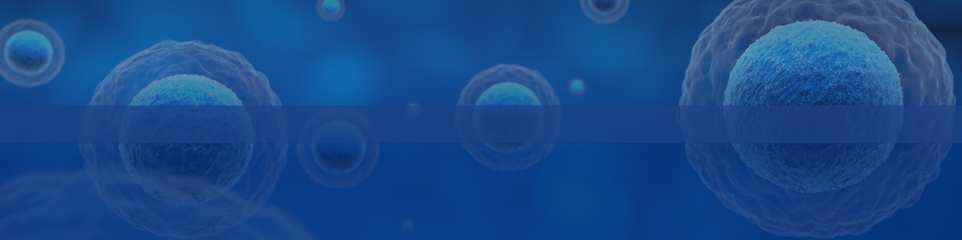 HERO BANNER  Explore – 2