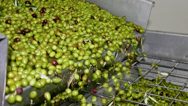 Broyeurs-huile-olive.jpg