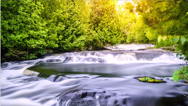 water stream woods sunrise