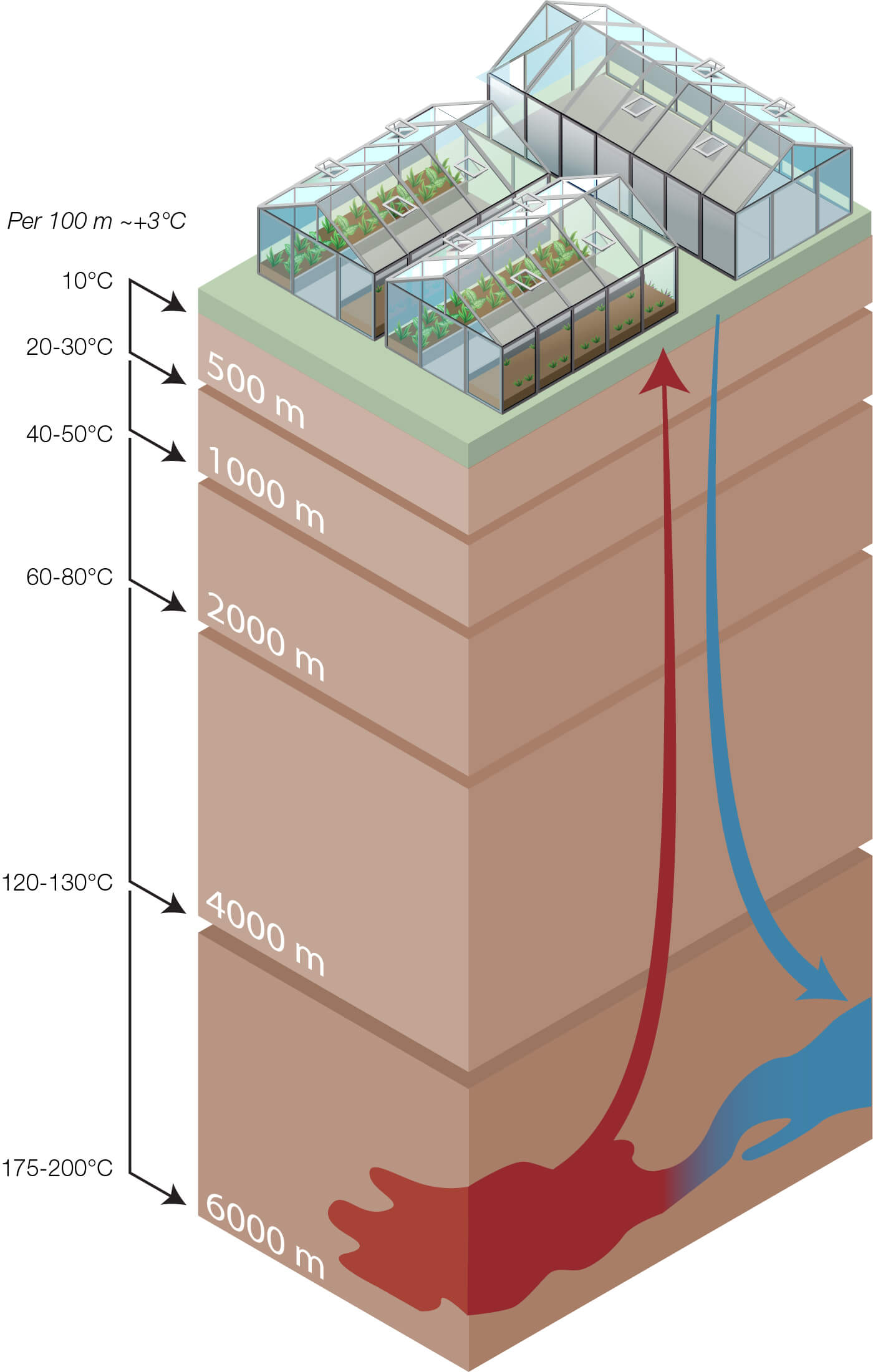 Geothermie Beispiel für Gewächshäuser