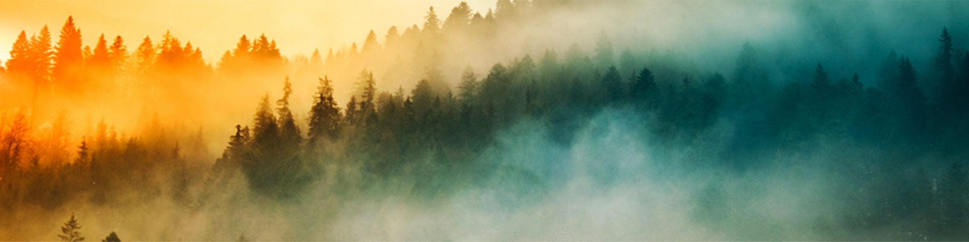 Here 37 magazine 1920x480 image only 2