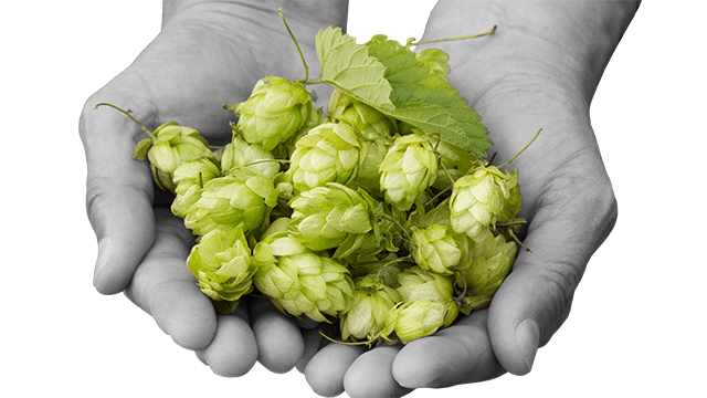 The merits of double dry-hopping