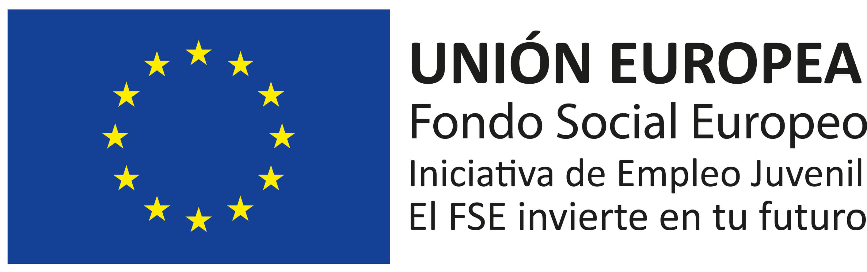 LOGO FSE PAG WEB