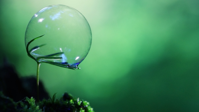 plant with bubble green 640x360