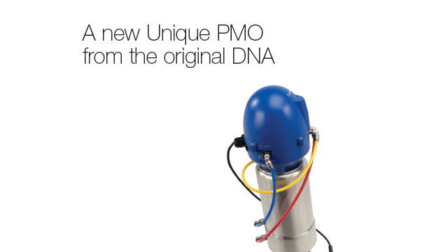 A Unique PMO 640x360