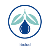 Biocarburants marins
