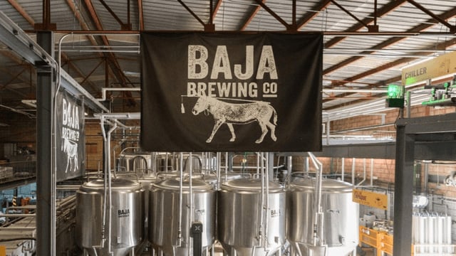 baja brewing