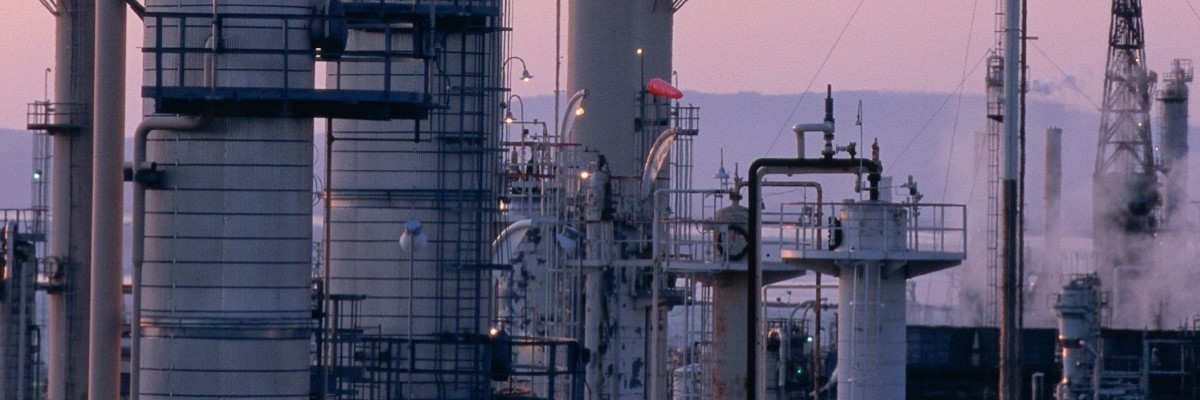 Petrochemical plant