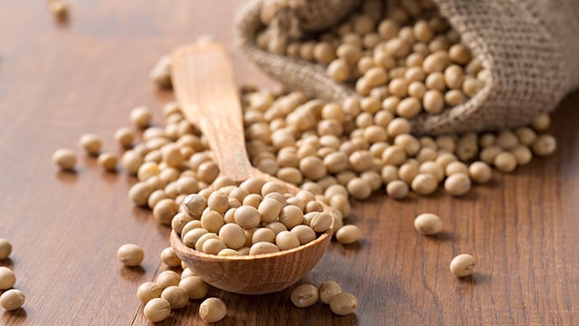 beans_plant-based_protein_640x360.jpg