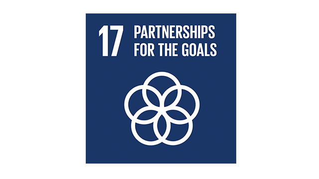 SDG 17 Vignette