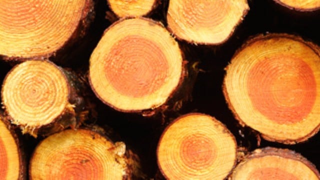 Wood timber lumber 640x360