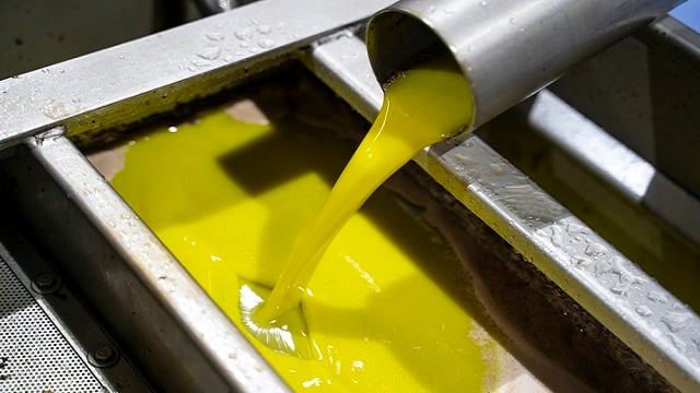 olive oil decanter centrifuge Alfa Laval