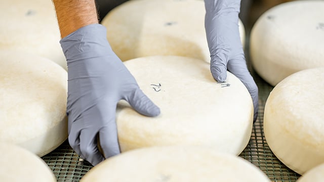 small-scale-dairy-cheese-production.jpg