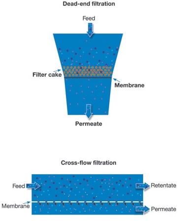 cross flow filtration vs dead end filtration