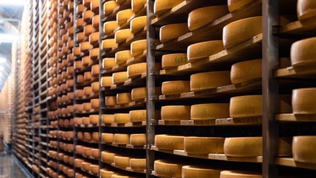 Cheese factory 640X360.jpg